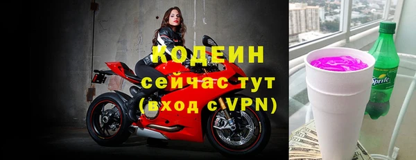 крисы Коряжма