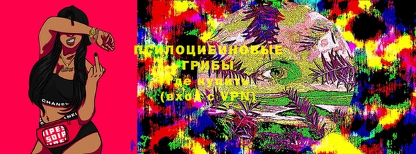 амф Корсаков