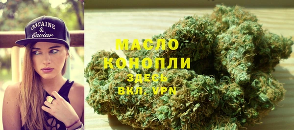 крисы Коряжма