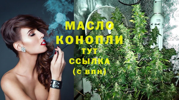 крисы Коряжма