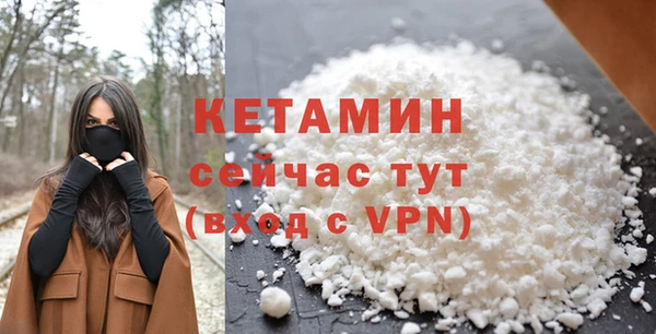 крисы Коряжма