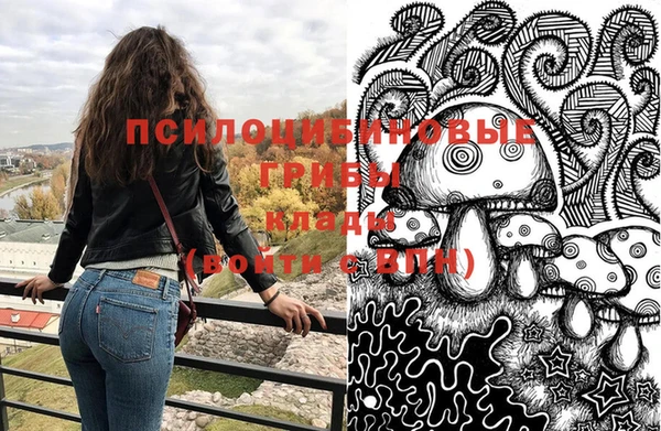 крисы Коряжма