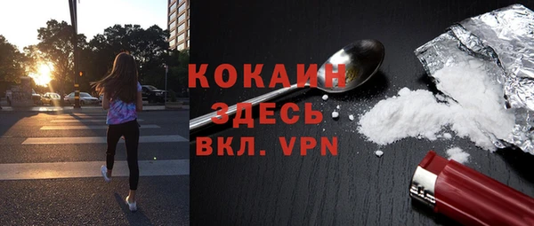 амф Корсаков