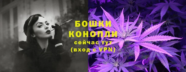 амф Корсаков