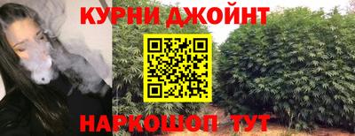 сатива Гусиноозёрск